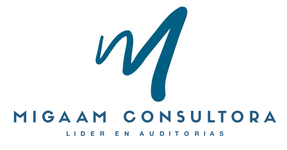 Migaam Consultora